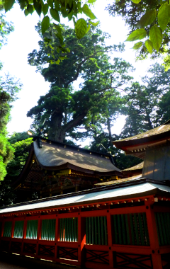 鹿島神宮本殿